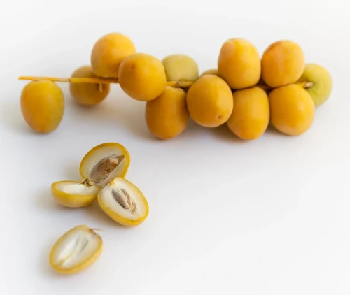 cropped barhi branch.webp